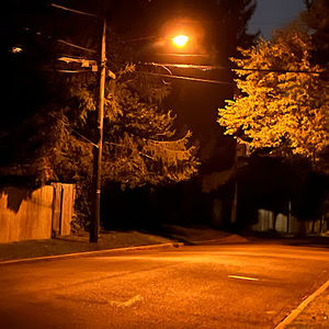 Meet your Posher, Ava